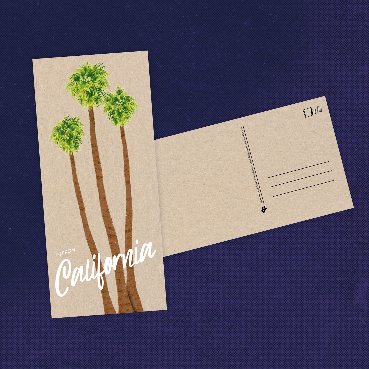 California Palm Trees Postcard