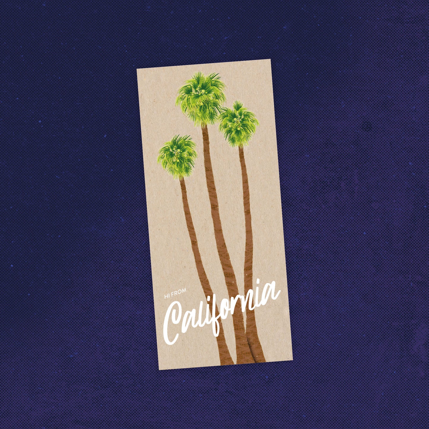 California Palm Trees Postcard