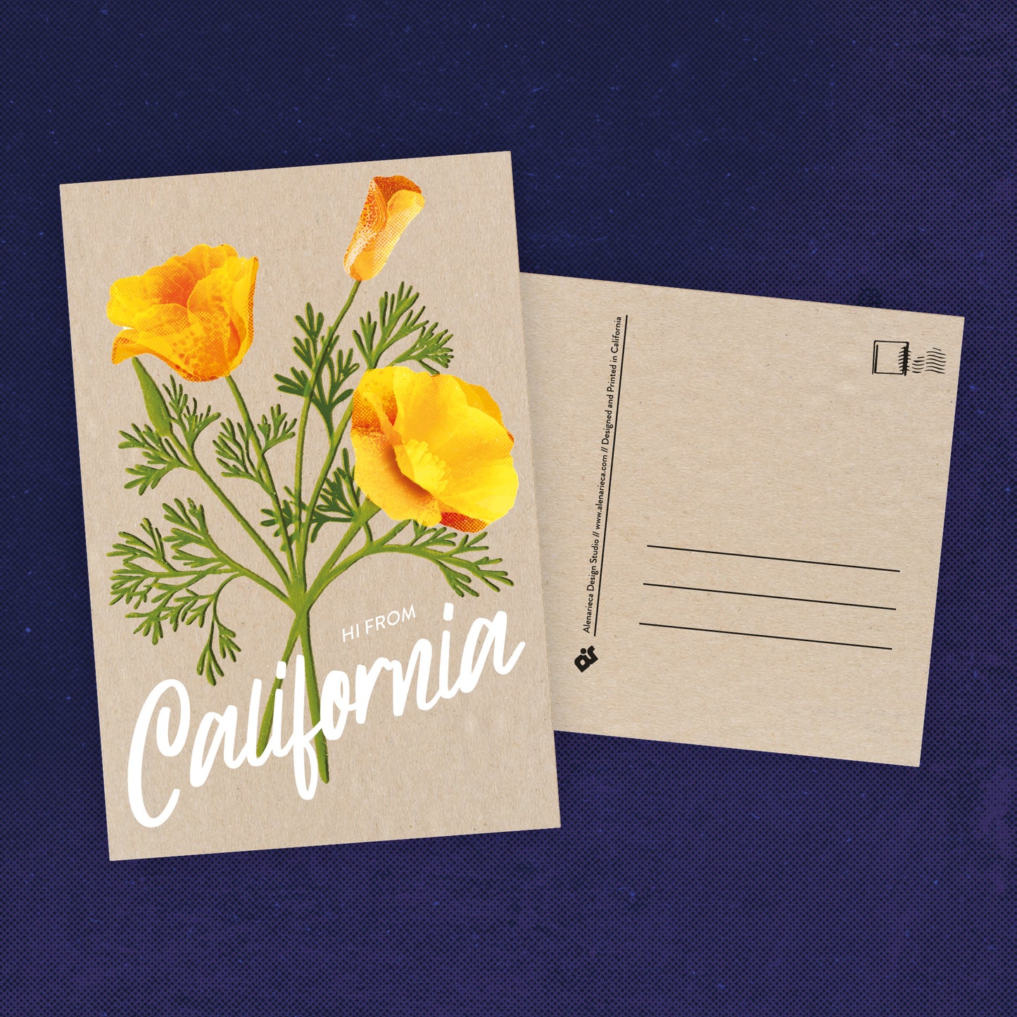 California Poppies Postcard