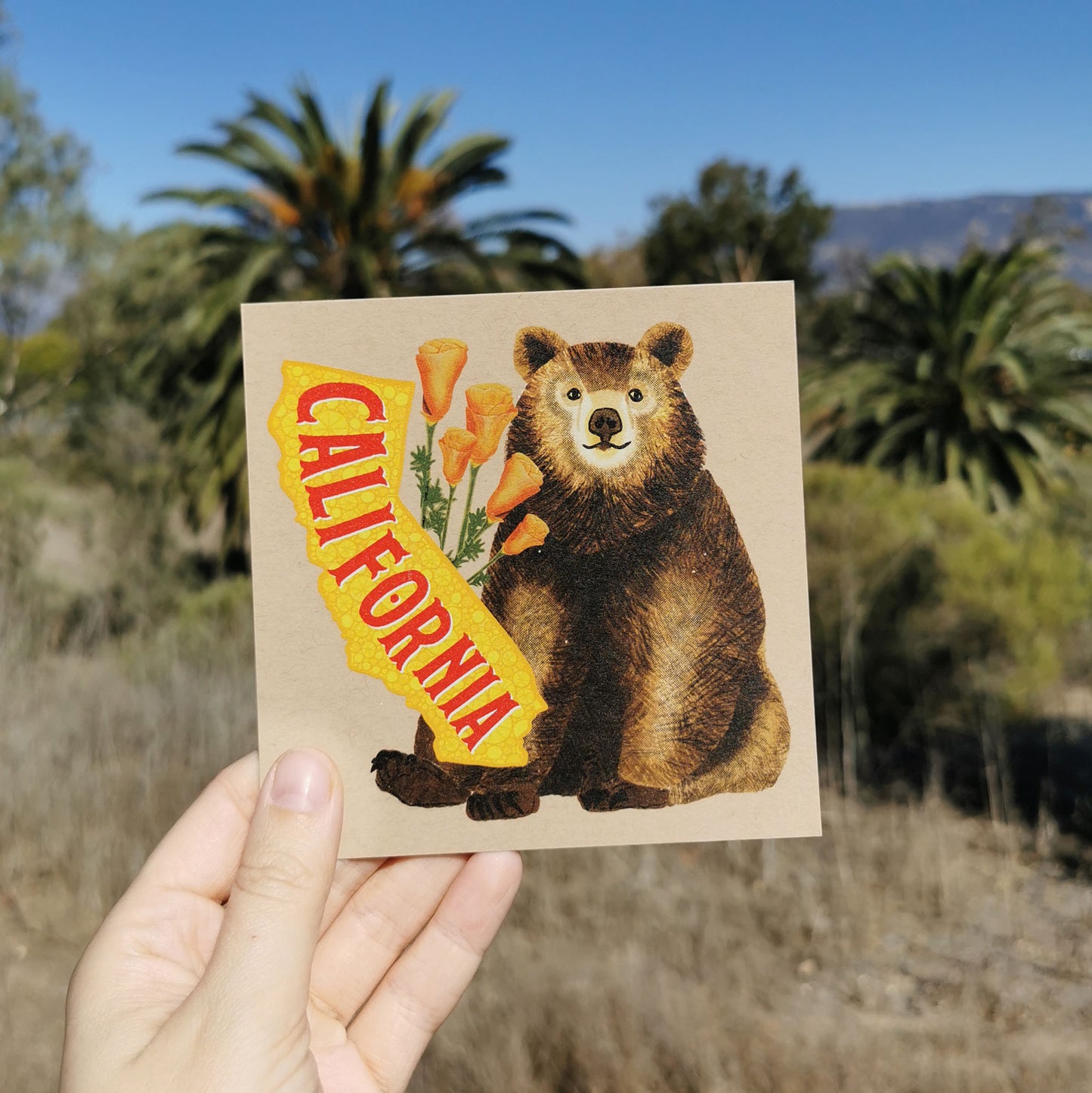 California Postcard – Bear & Poppies