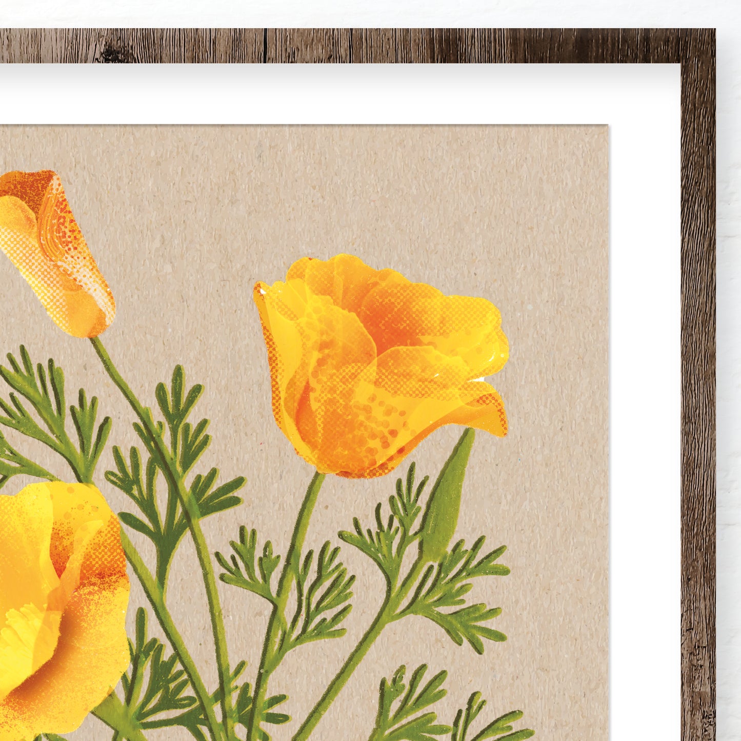 California Poppies Art Print