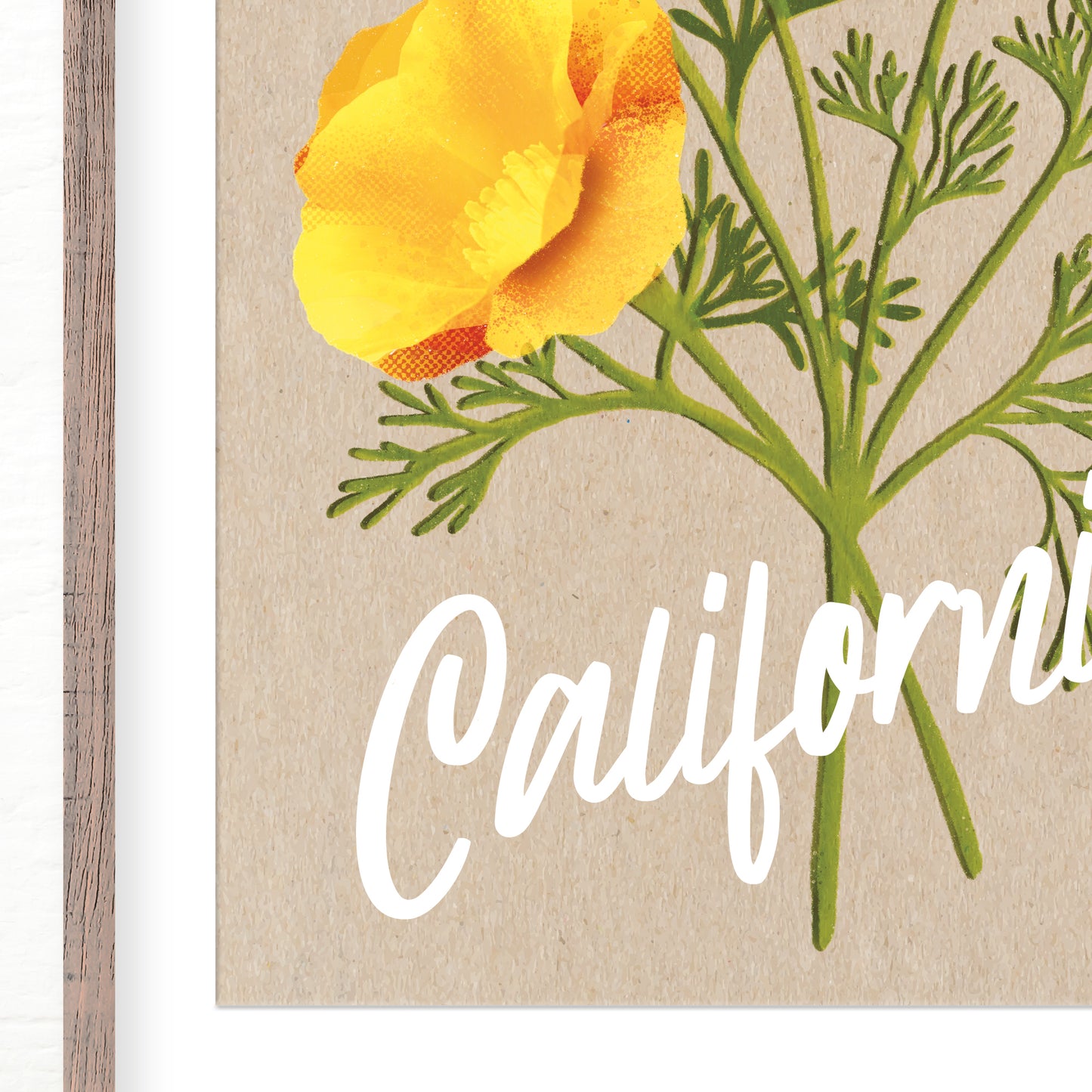 California Poppies Art Print