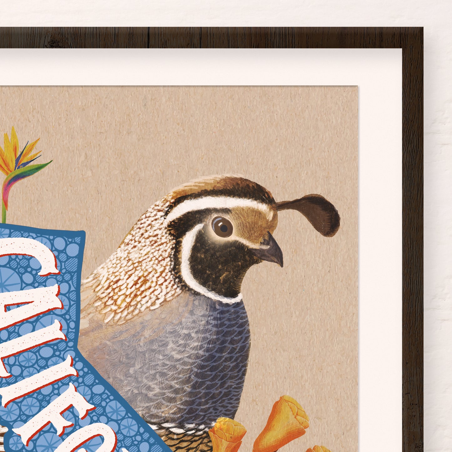 California Quail Art Print