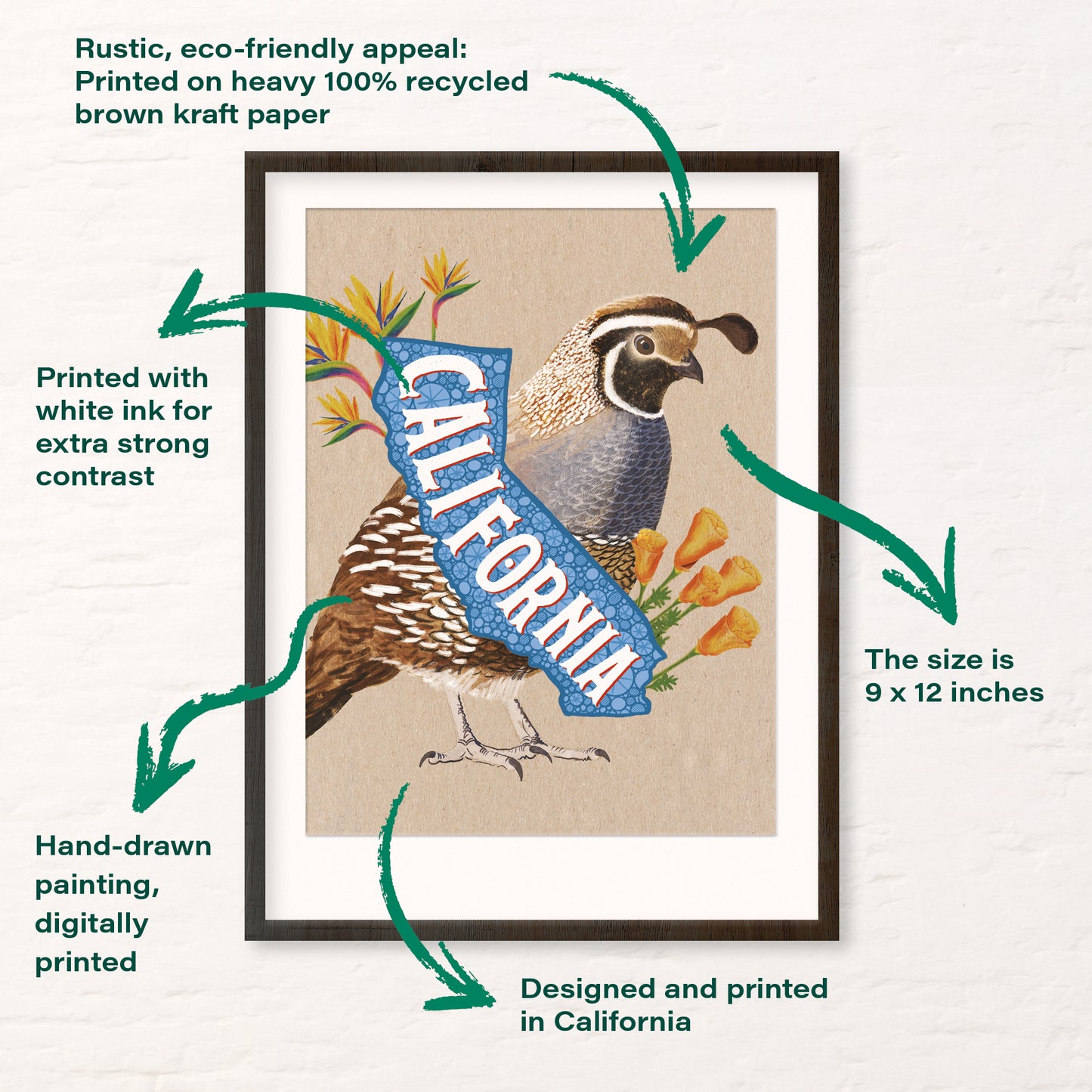 California Quail Art Print