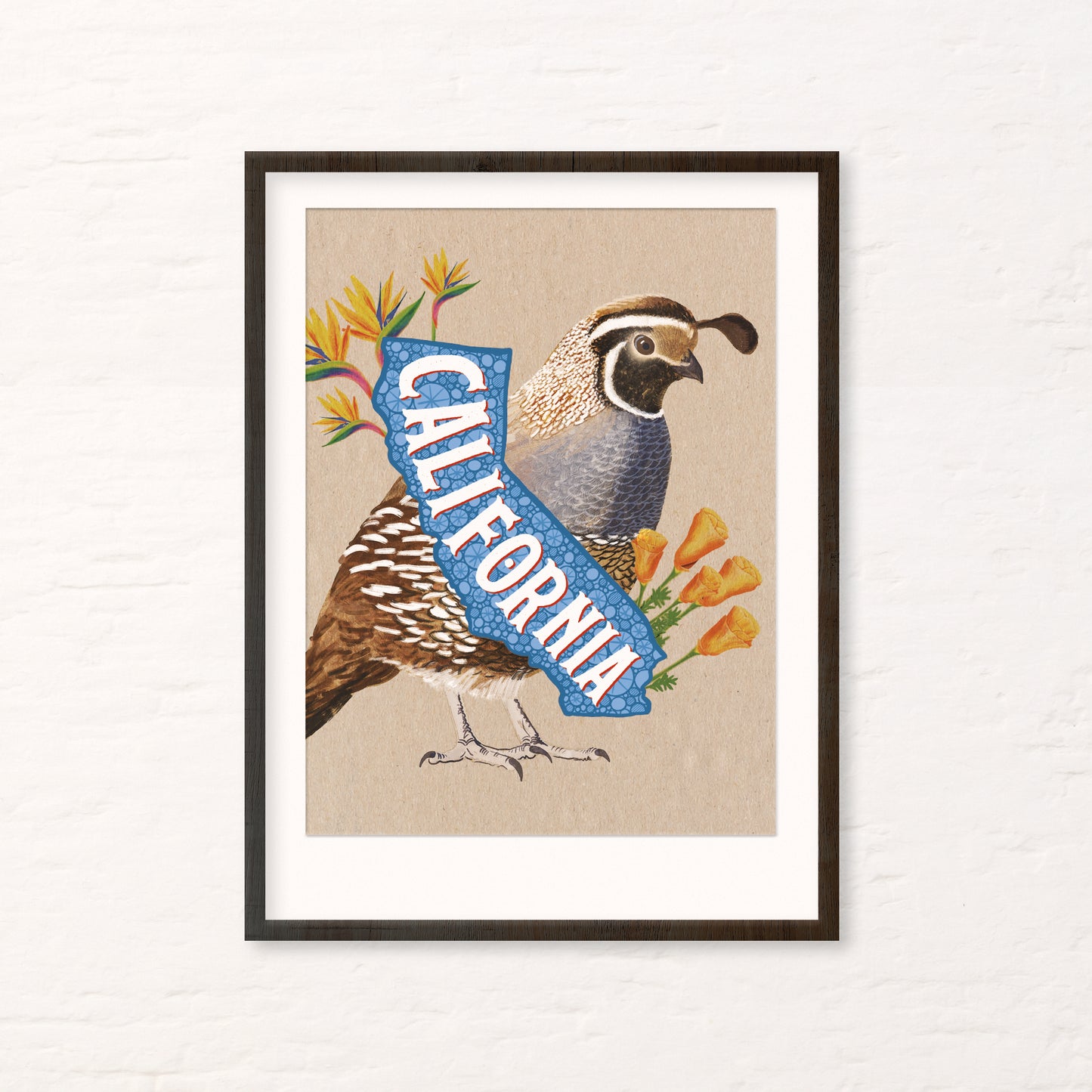 California Quail Art Print