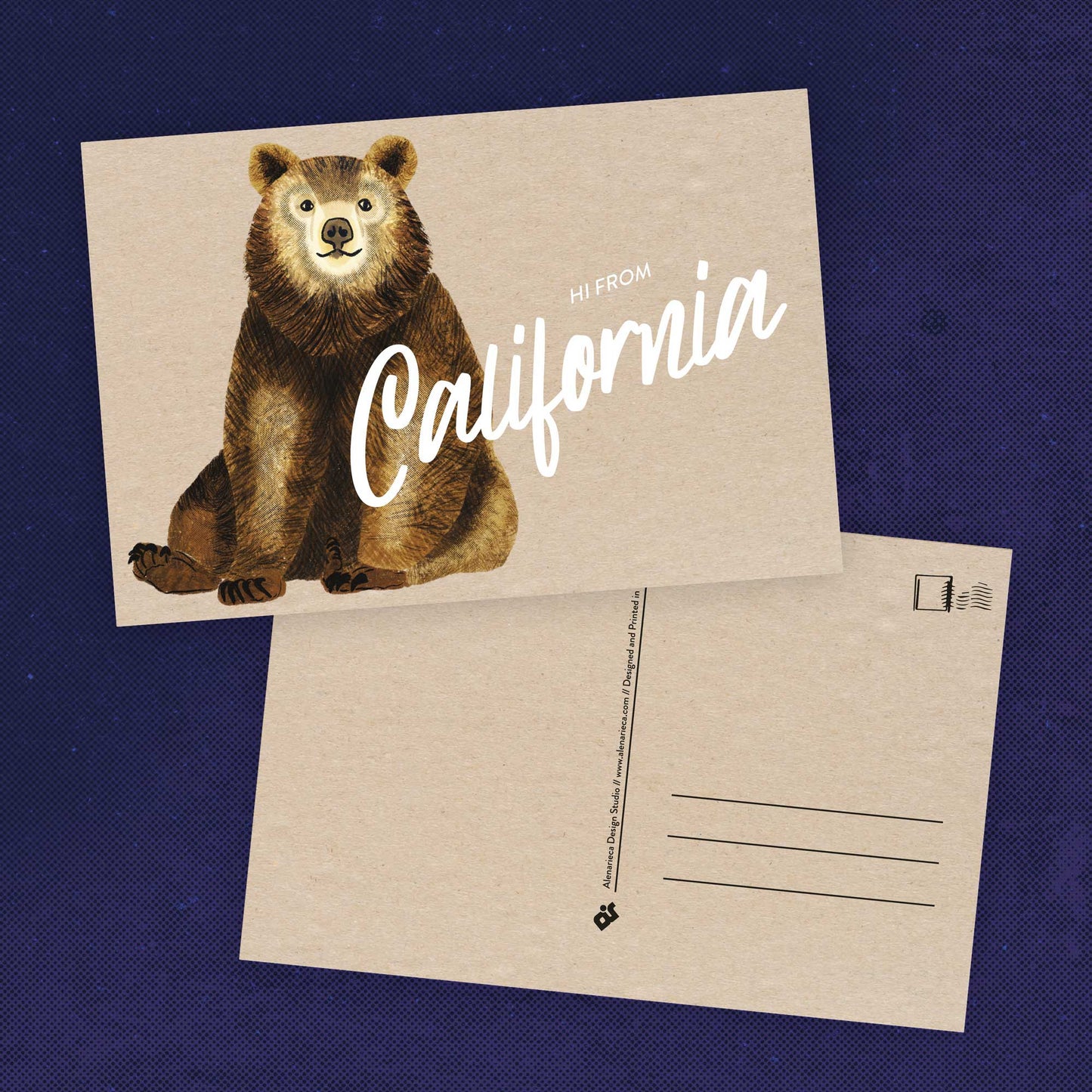 California Black Bear