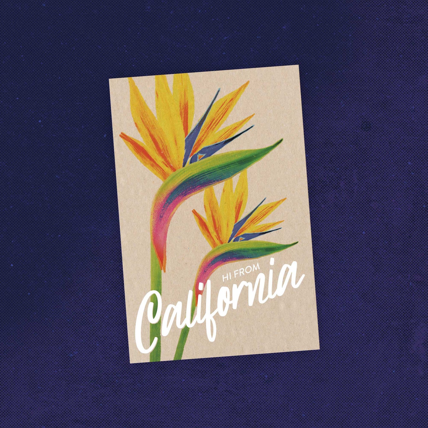 California Paradise Flower
