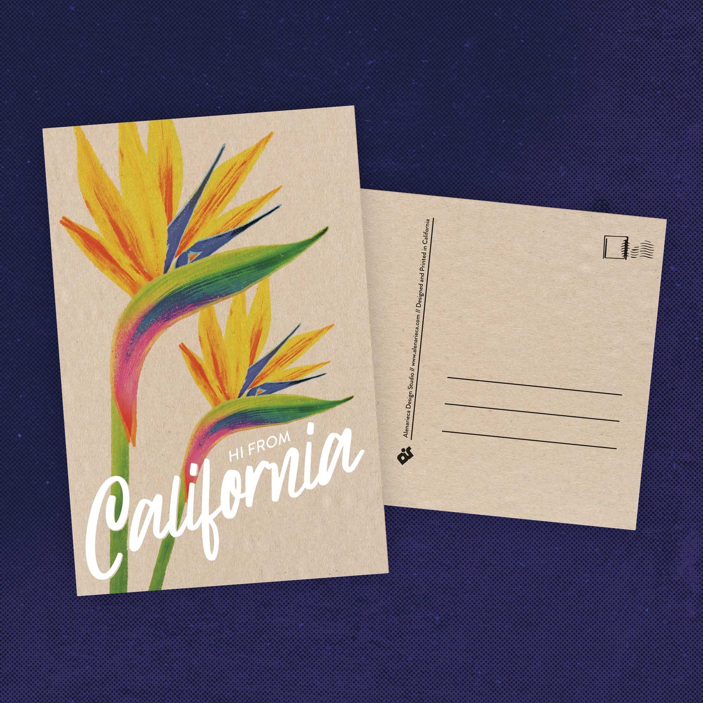 California Paradise Flower