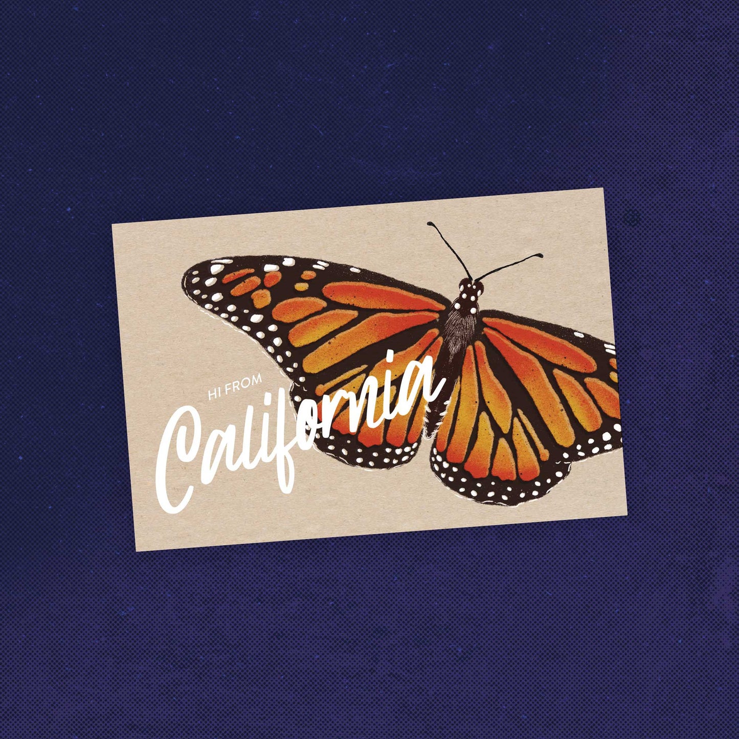 California Monarch Butterfly