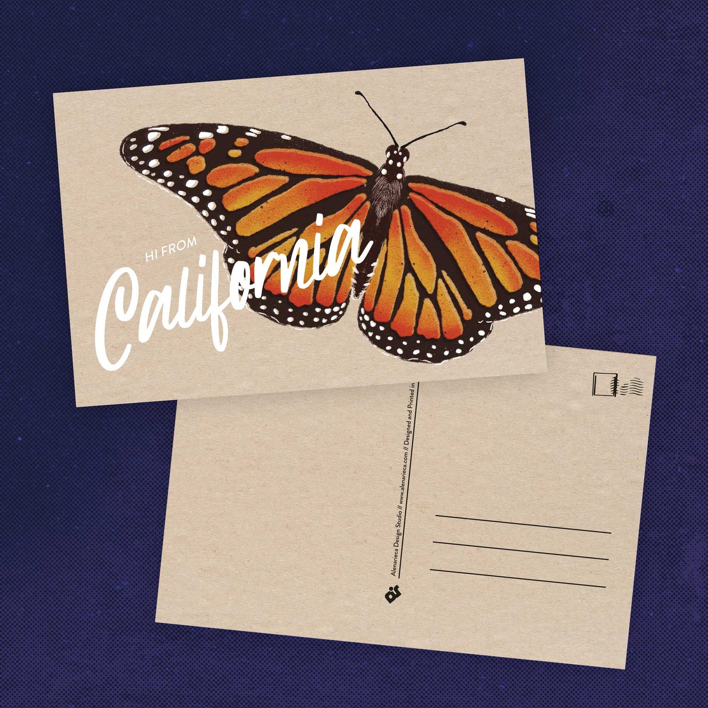California Monarch Butterfly