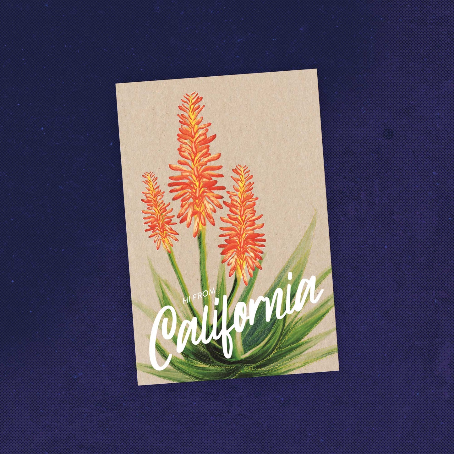 California Aloe Postcard