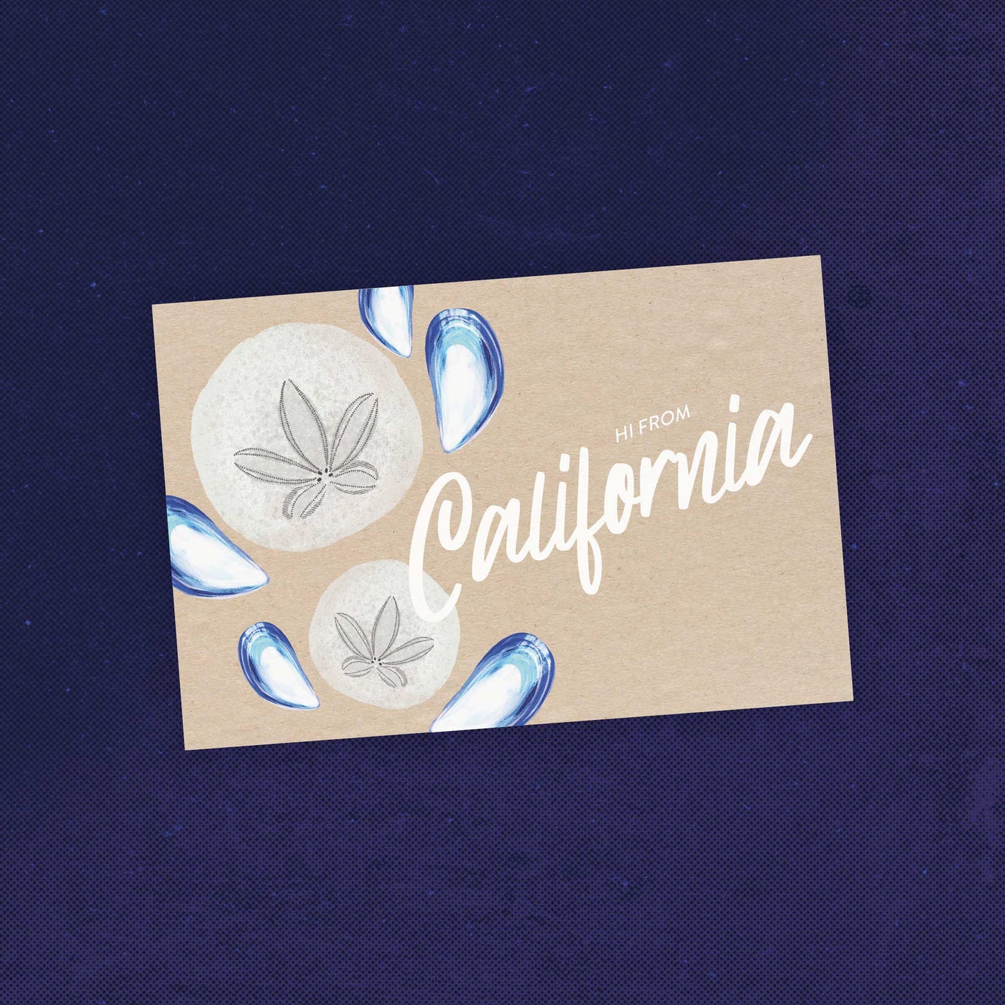 California Sand Dollar