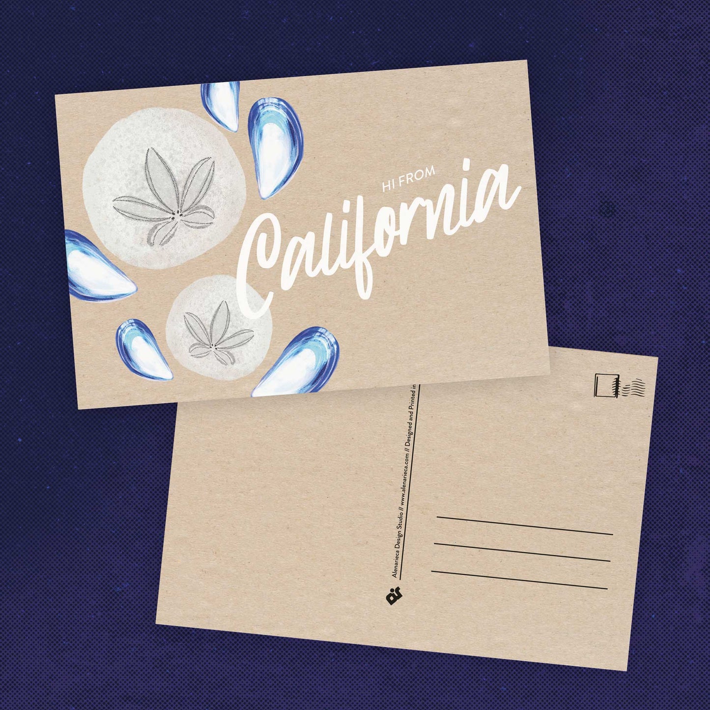 California Sand Dollar