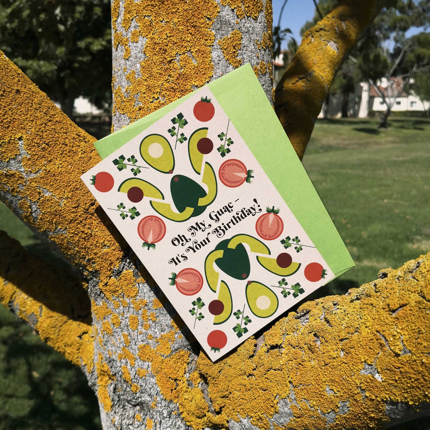 Oh My Guac – Birthday Card