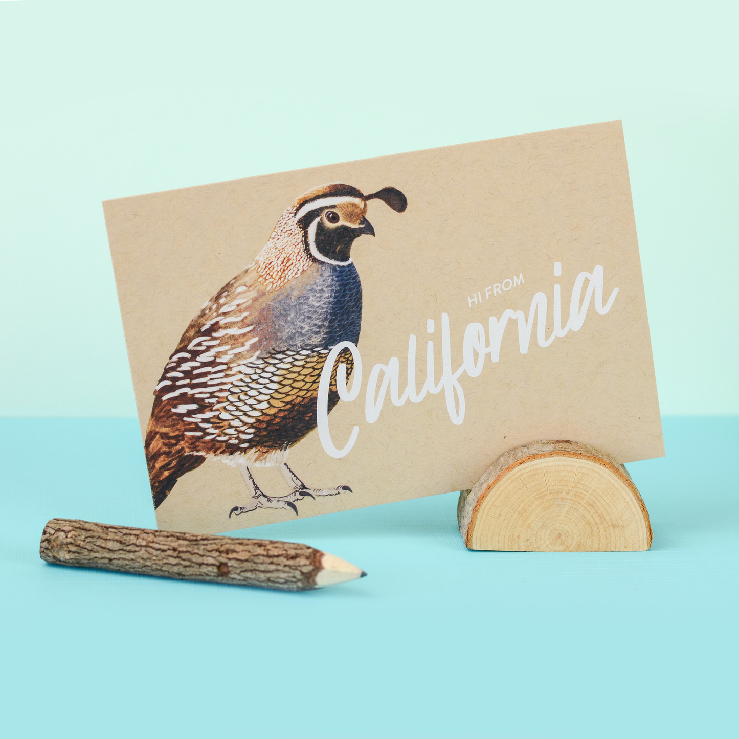 California Quail Postcard