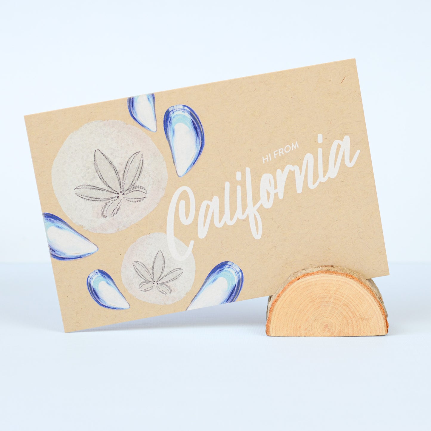California Sand Dollar
