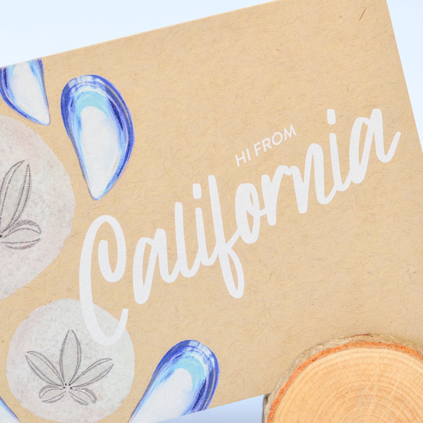 California Sand Dollar