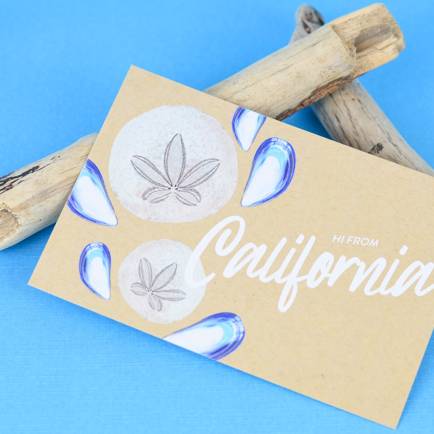 California Sand Dollar