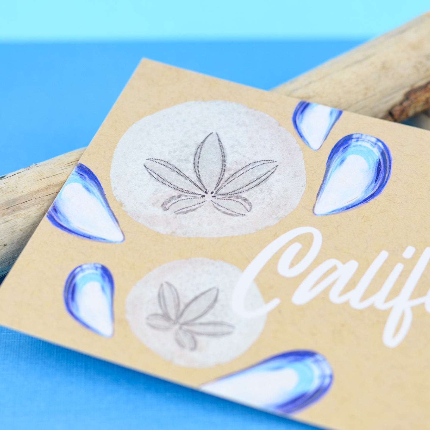 California Sand Dollar