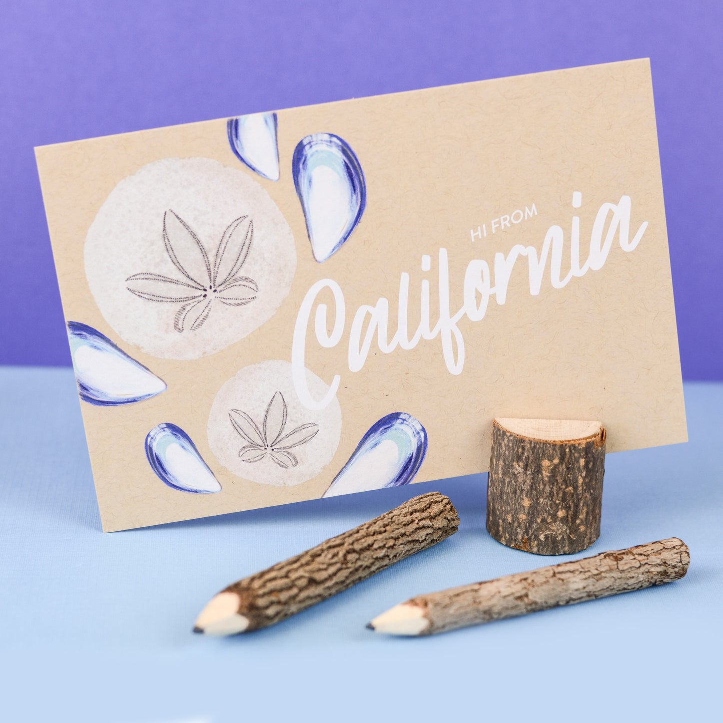 California Sand Dollar