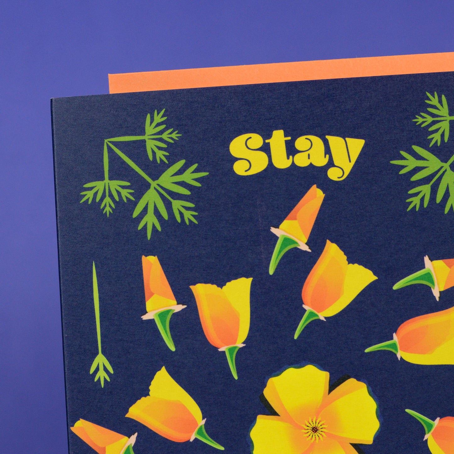 Stay Golden Poppy Flower Greeting Card