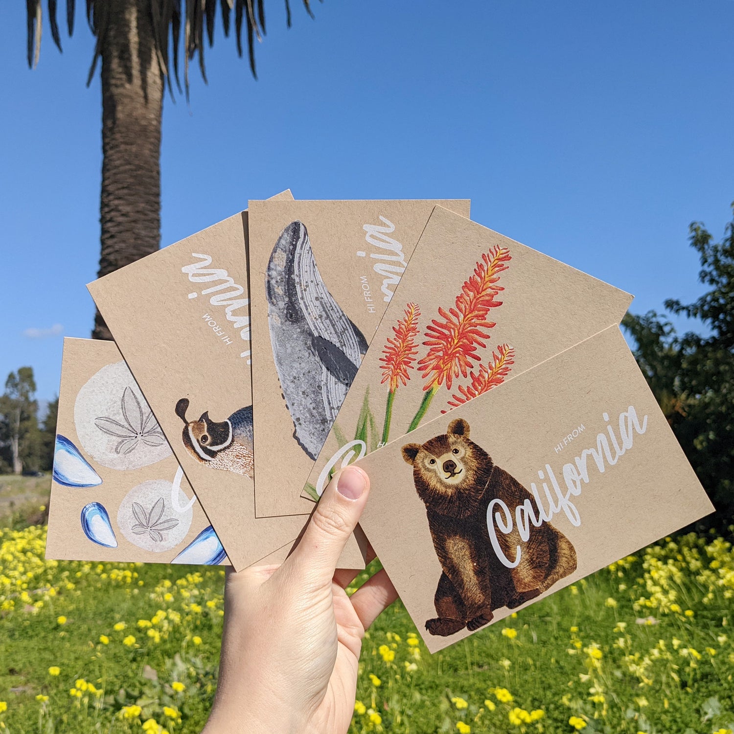 California Postcards – Set of 10
