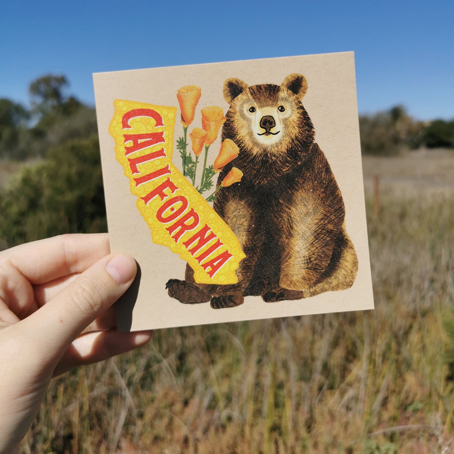 California Postcard – Bear & Poppies