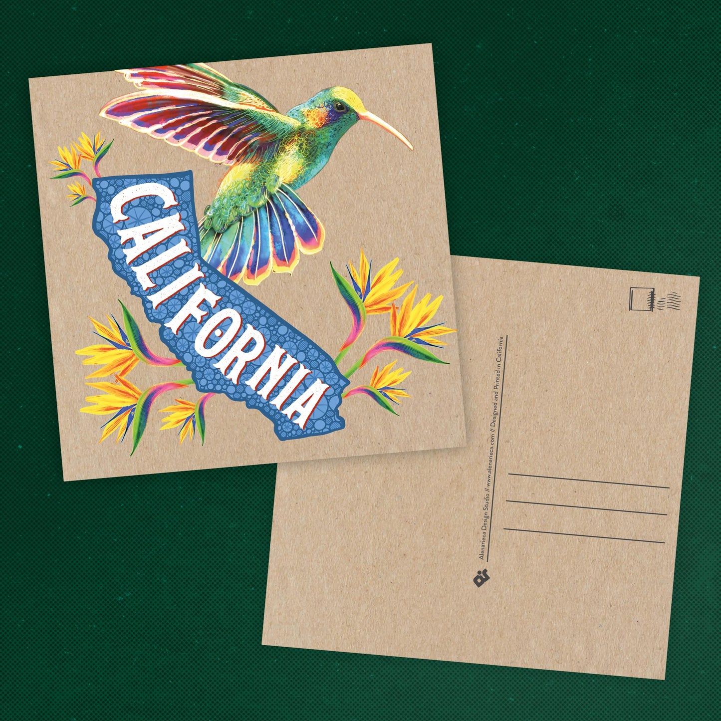 California Postcard – Hummingbird & Paradise Flowers