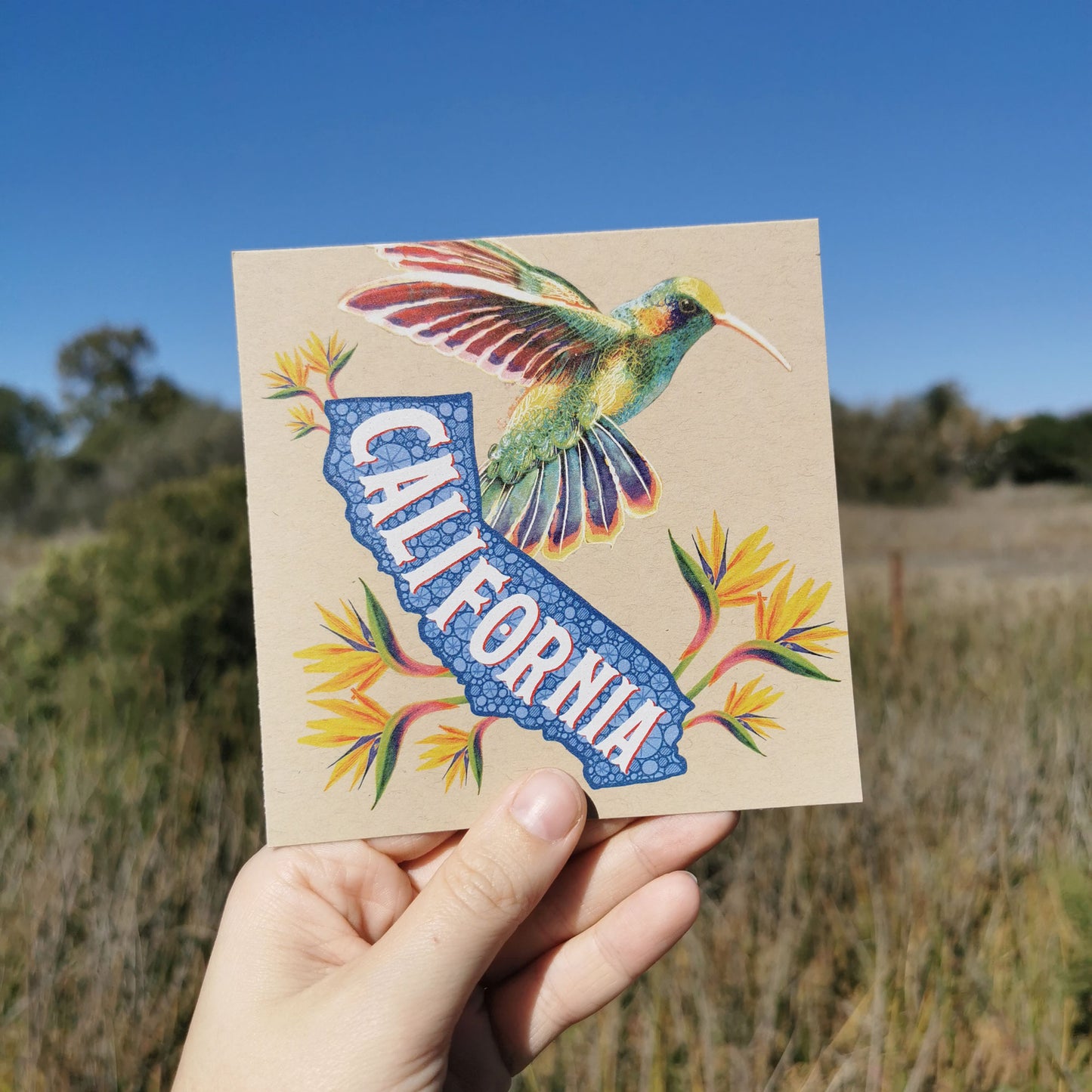 California Postcard – Hummingbird & Paradise Flowers