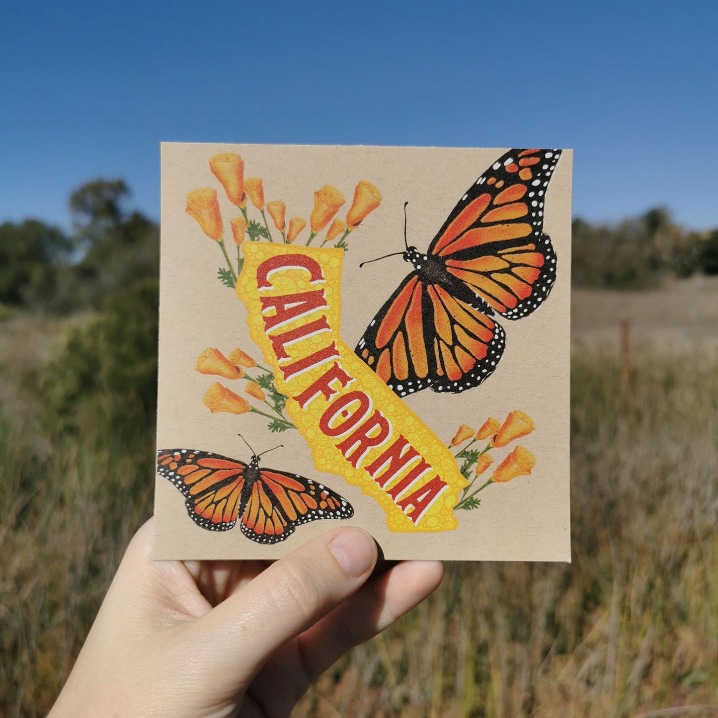 California Postcard – Monarch Butterfly & Poppies