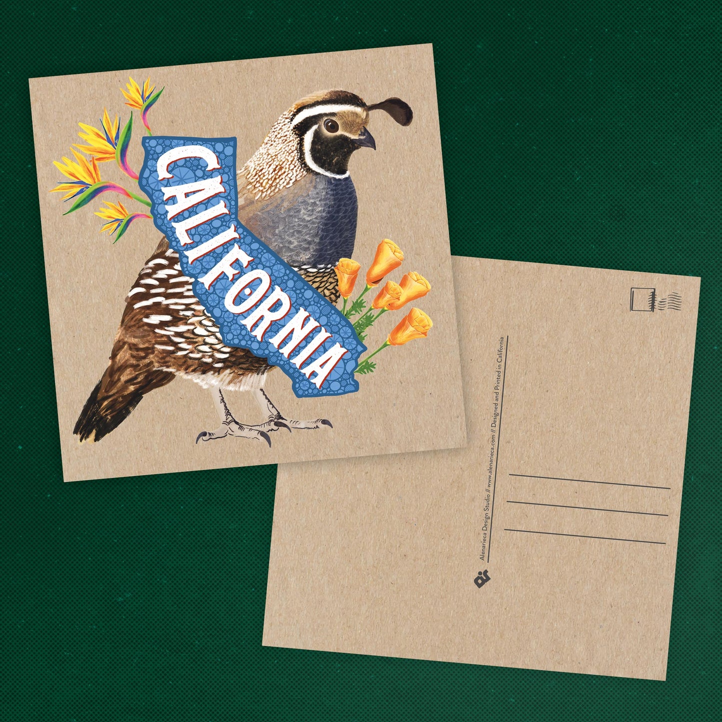 California Postcard – Quail & Flowers