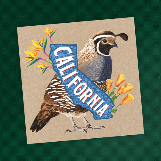 California Postcard – Quail & Flowers