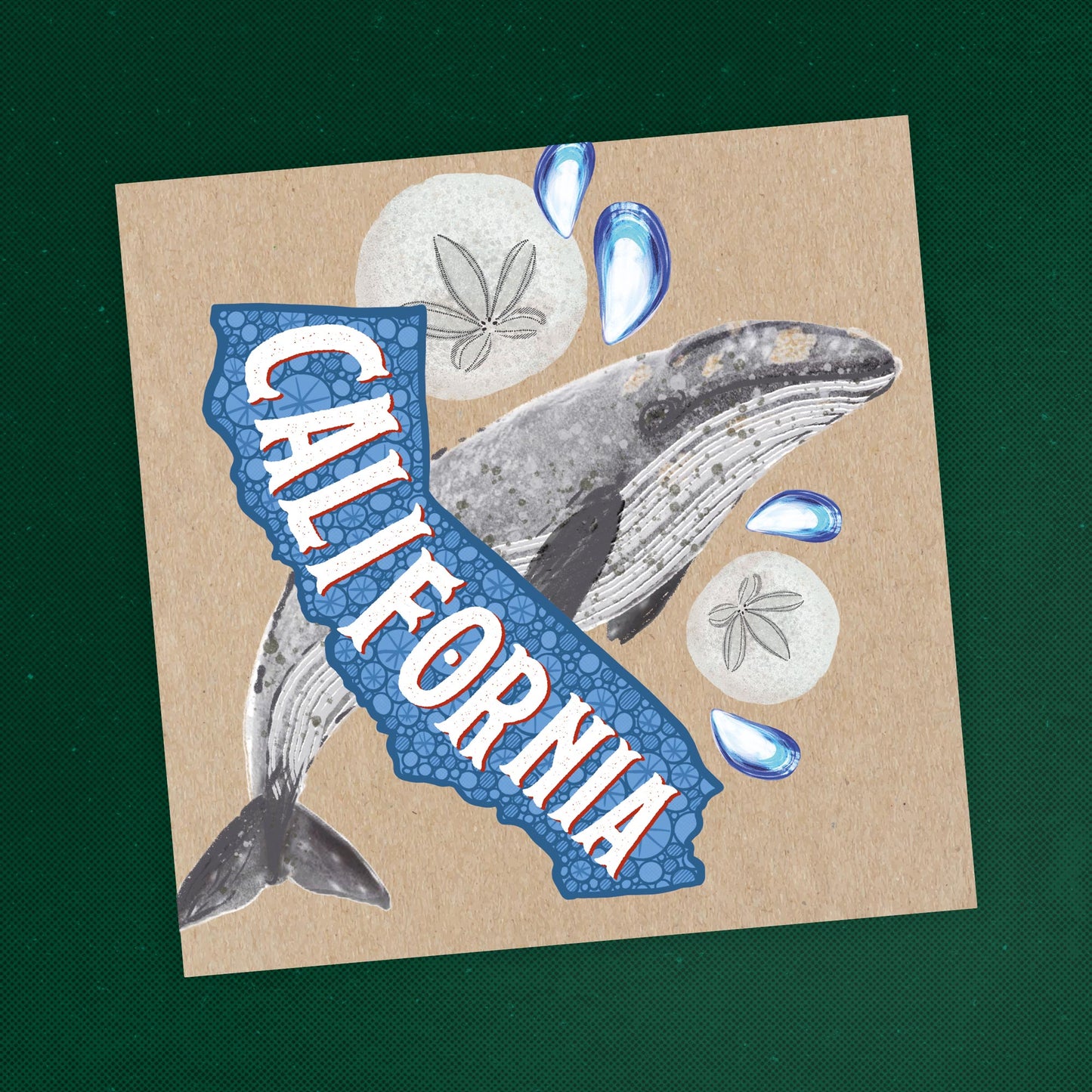 California Postcard – Whale & Sand Dollar