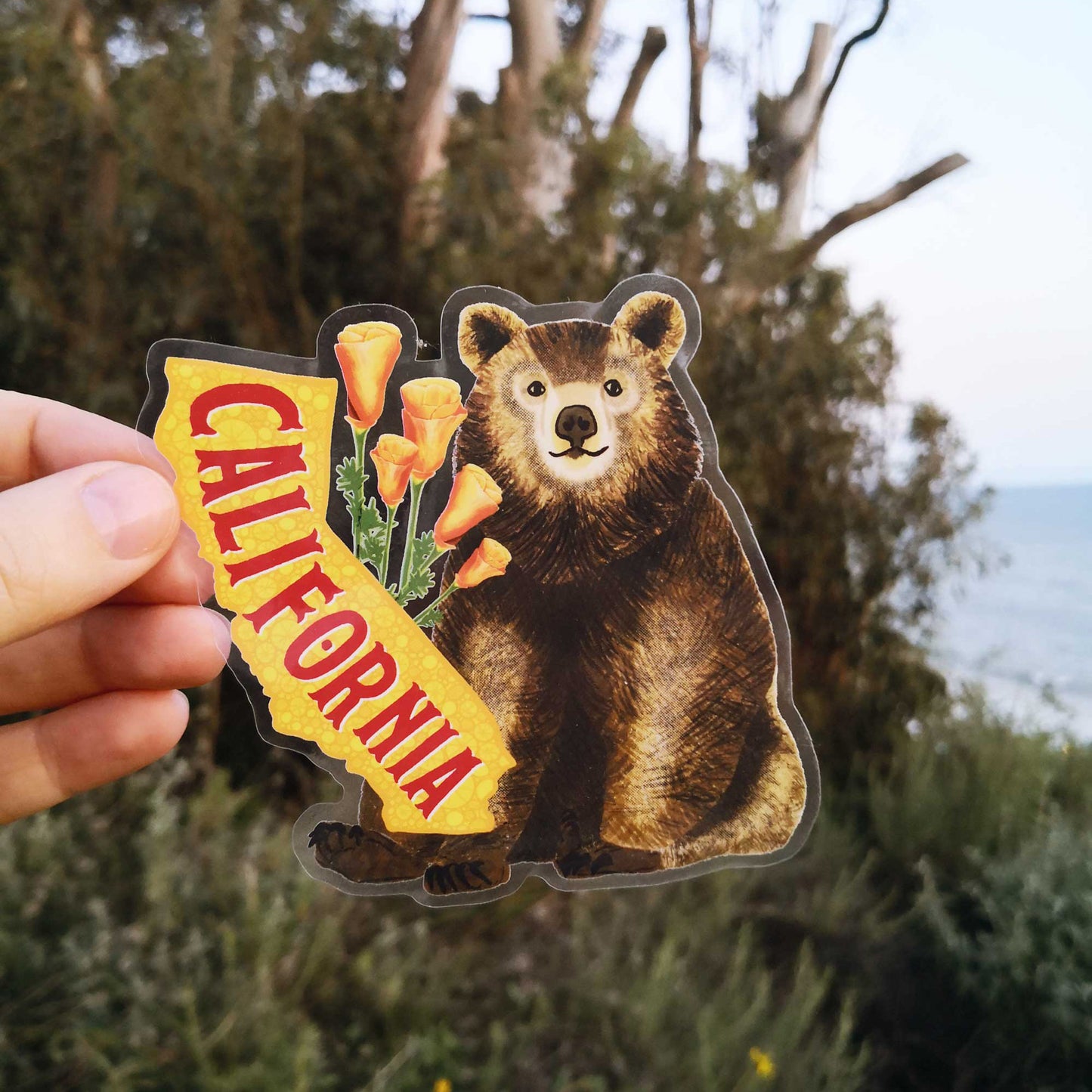 California Sticker