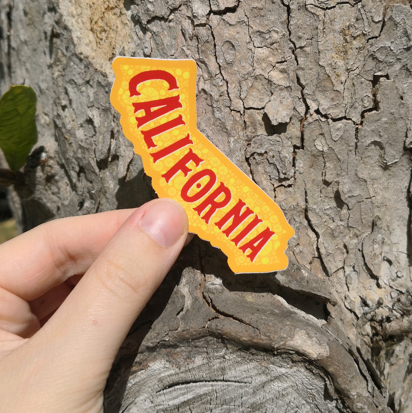 California Sticker