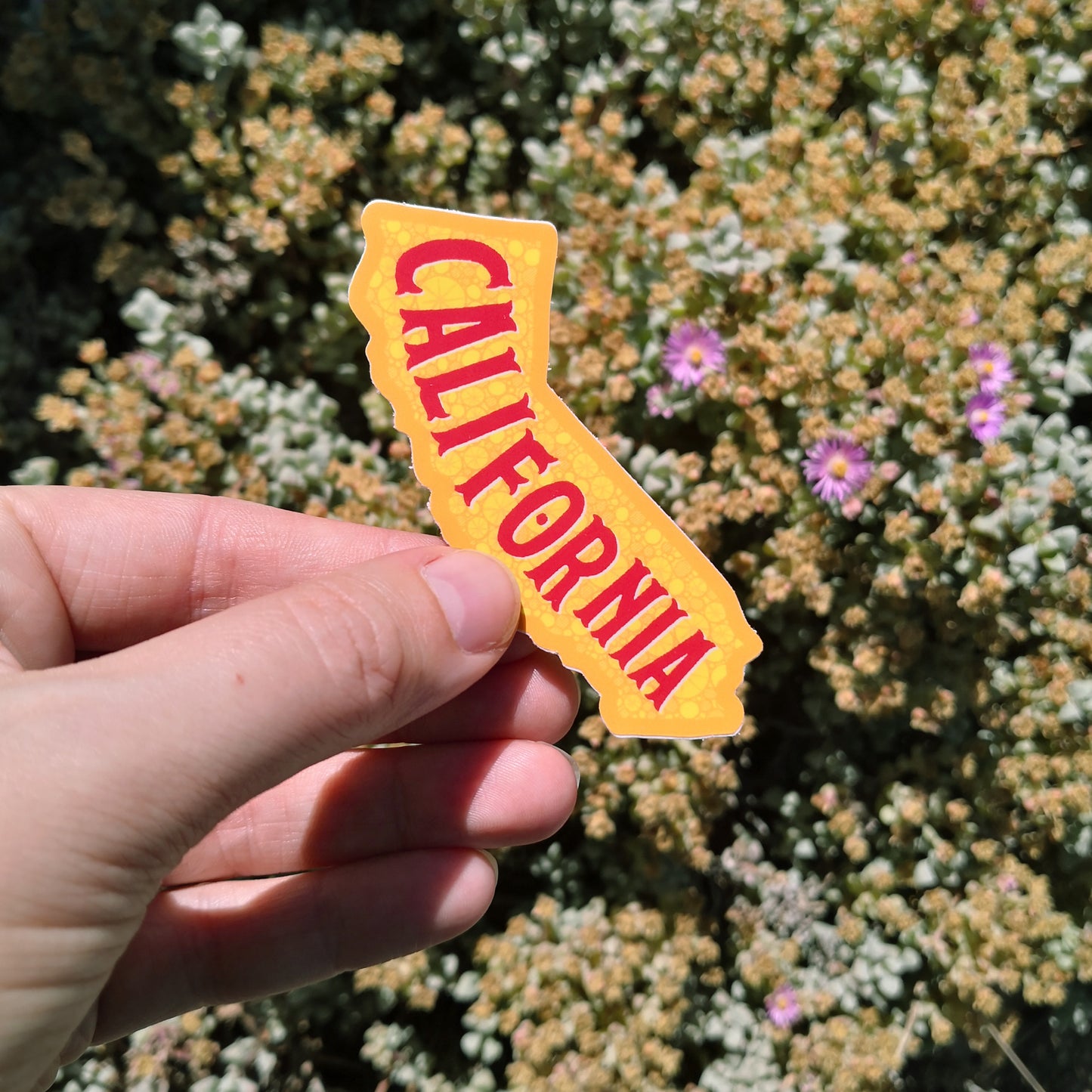 California Sticker