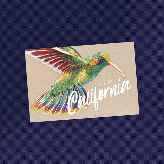 California Hummingbird Postcard