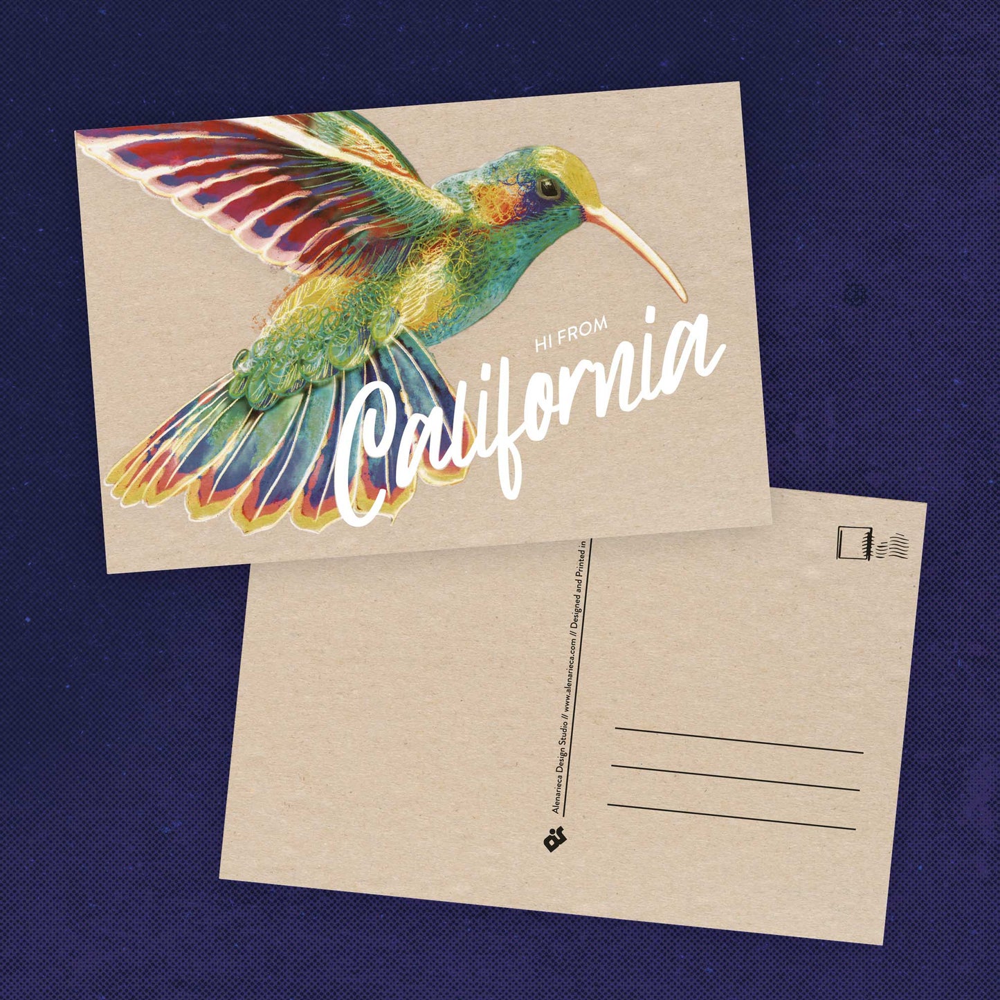 California Hummingbird Postcard