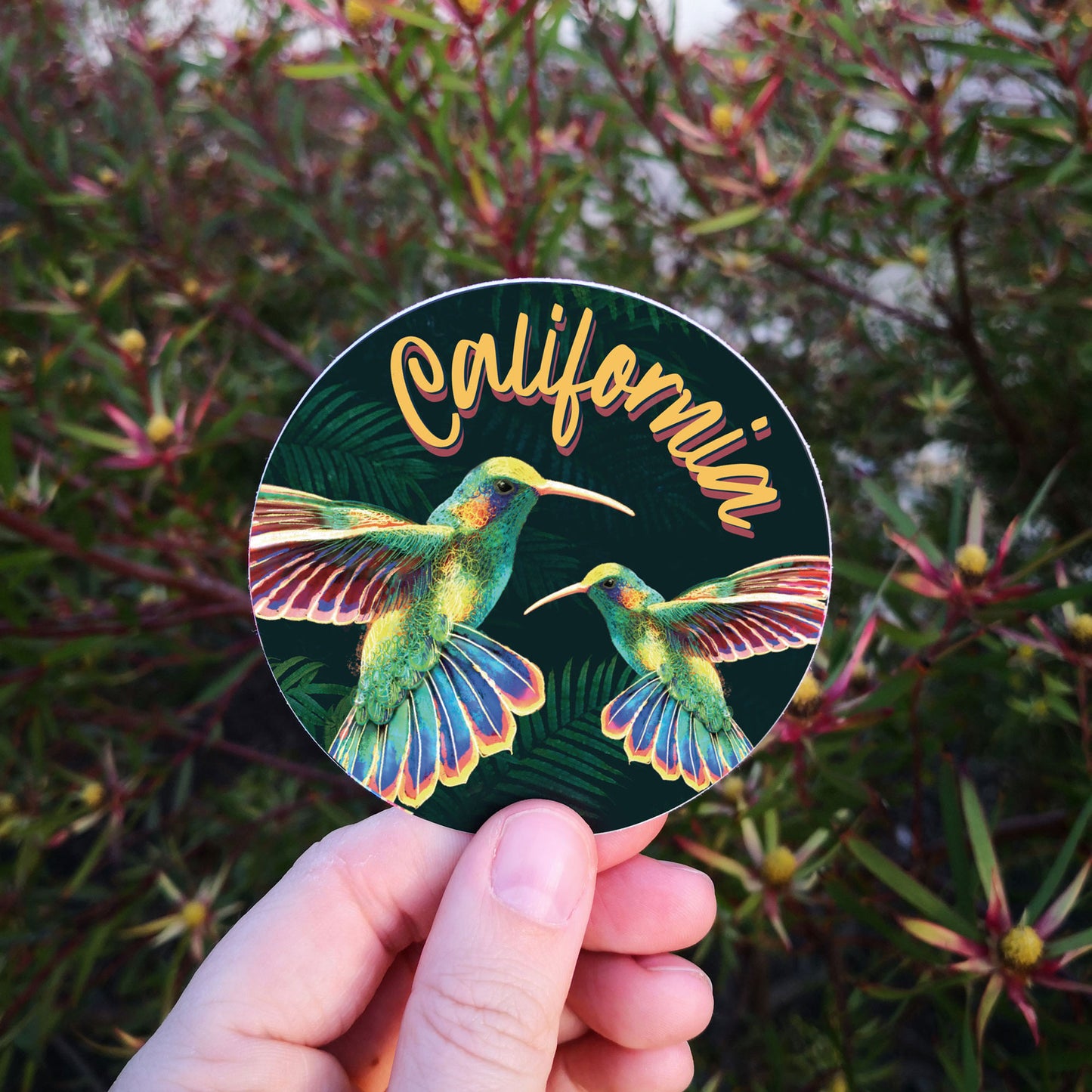 California Hummingbird Sticker
