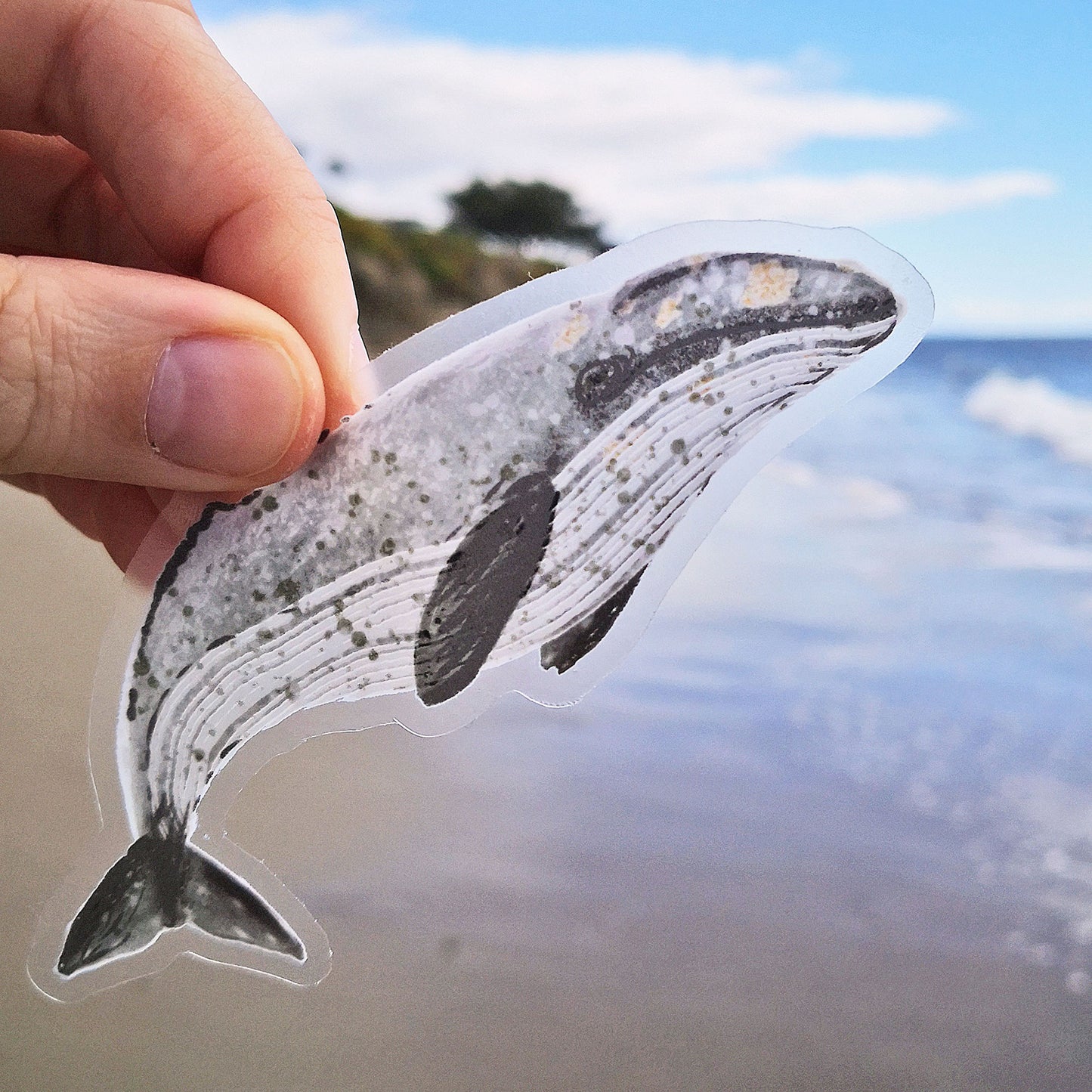 California Gray Whale Sticker