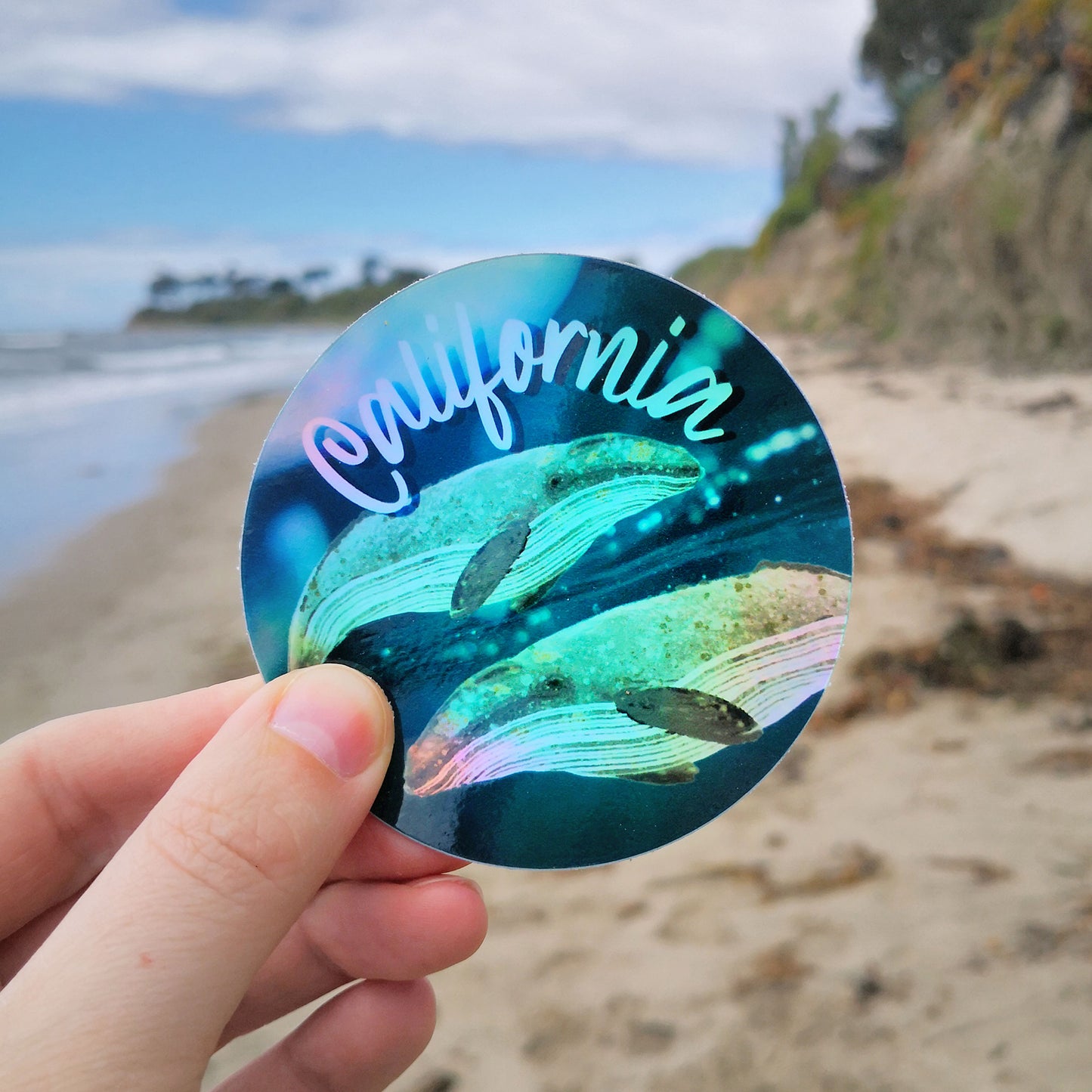 California Gray Whale Holographic Sticker
