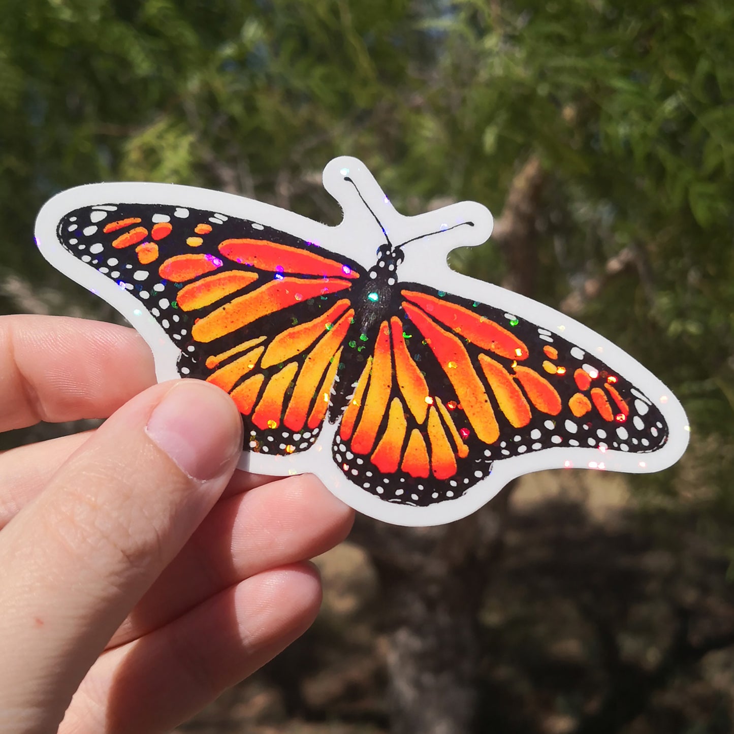 Magical Butterfly Sticker Set