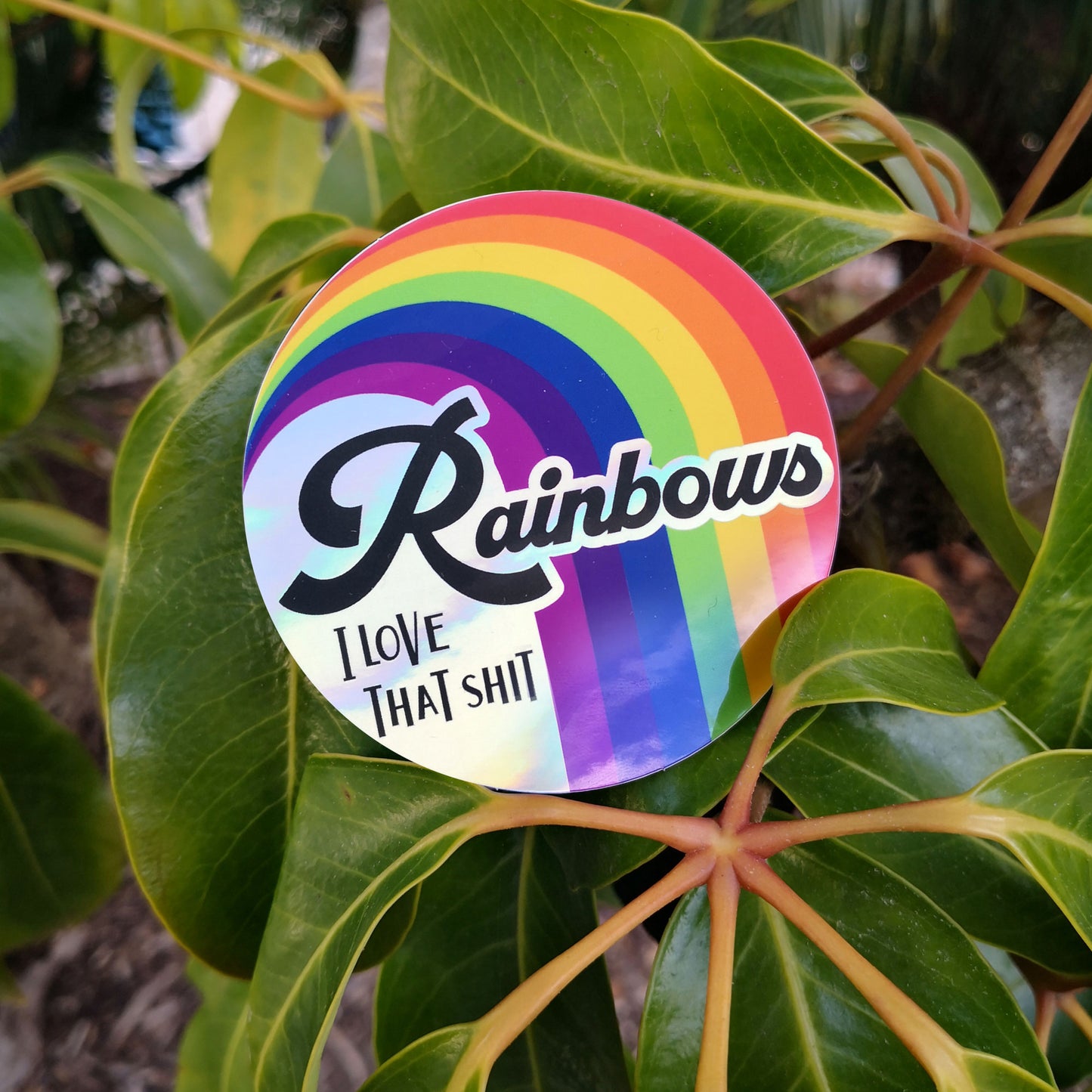 Rainbows – Holographic Sticker